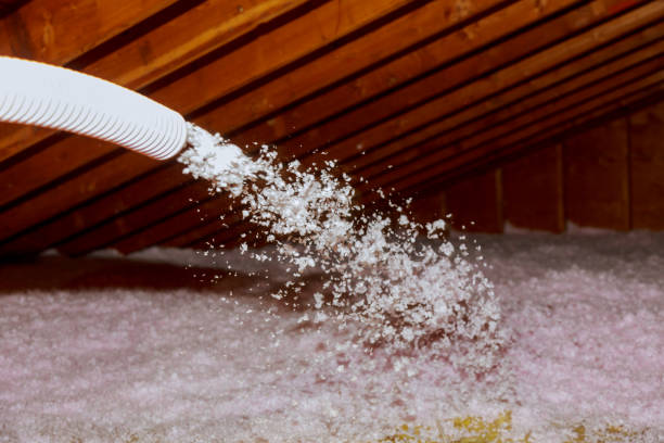 Best Energy Efficiency Solutions in Archer, FL