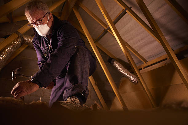 Best Insulation Installation Services in Archer, FL
